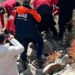 Kayıp Alzheimer hastası, arazide ölü bulundu