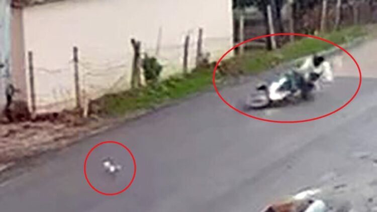 Kediye çarpmamak için manevra yaptığı motosikleti devrilen sürücü yaralandı
