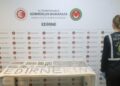 İpsala ve Kapıkule'de 7 bin 160 tarihi eser ele geçirildi