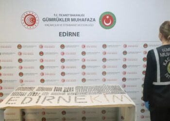 İpsala ve Kapıkule'de 7 bin 160 tarihi eser ele geçirildi