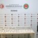 İpsala ve Kapıkule'de 7 bin 160 tarihi eser ele geçirildi