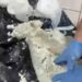 Peynir bidonuna gizlenmiş uyuşturucu ele geçirildi: 1 gözaltı