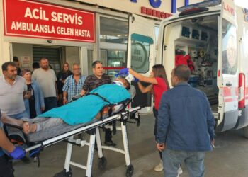 Kestiği ağacın altında kalan emekli uzman çavuş ağır yaralandı