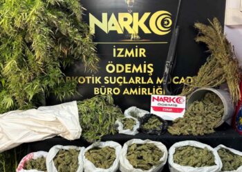 Ödemiş'te 7 kilo 671 gram esrar ele geçirildi