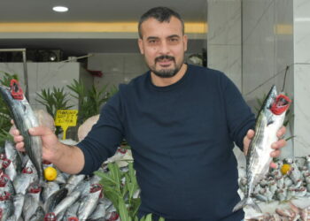 ‘Palamut bolluğu en az 1 ay daha sürecek’