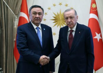 Cumhurbaşkanı Erdoğan, TDT Genel Sekreteri Ömüraliyev'i kabul etti