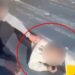 Aranan hükümlü çatı arasında yakalandı