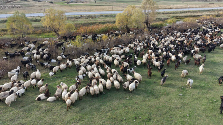 Van ve Bitlis’te göçerlerin dönüş yolculuğu başladı