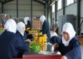 Tarlada kalan meyve ve sebzeler, kadınların elinde yeni nesil turşuya dönüşüyor