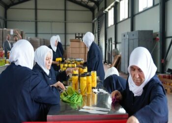Tarlada kalan meyve ve sebzeler, kadınların elinde yeni nesil turşuya dönüşüyor