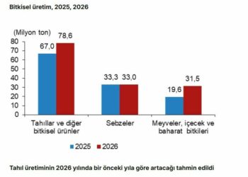 TÜİK: Tahıl, meyve, baharat üretiminde artış, sebze üretiminde azalış öngörüldü