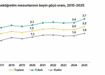 Yükseköğretim mezunlarında beyin göçü oranı arttı