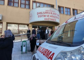 Yaprak sarması yiyen 12 öğrenci, zehirlenme şüphesiyle hastaneye kaldırıldı