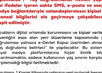 DMM'den 'sosyal medyada yaş düzenlemesi' uyarısı