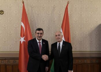 Cumhurbaşkanı Yardımcısı Yılmaz, Macaristan Cumhurbaşkanı Baka ile bir araya geldi