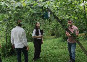 Karadeniz'de istilacı böcek kabusuna 'siber' kalkan
