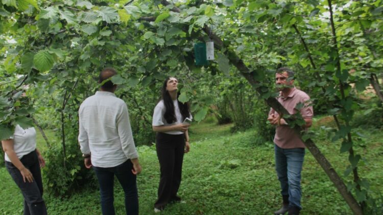Karadeniz Havzası'nda istilacı böceklere geçit yok: AB destekli projeyle anlık takip başlıyor