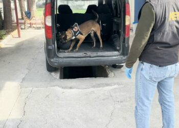 Aracın yakıt deposundaki uyuşturucuyu 'Hector' buldu