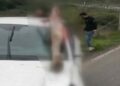 Arnavutköy’de otomobilin çarptığı at öldü: 3 kişi yaralandı