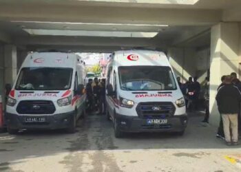 Arazi kavgasında kardeşini öldürüp, 3 kişiyi yaraladıktan sonra intihar etti