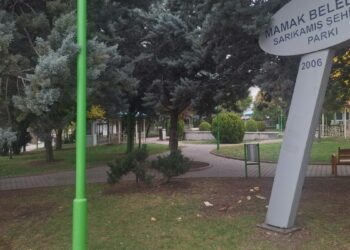 Ankara'daki akran cinayetinde 11 yıllık husumet iddiası