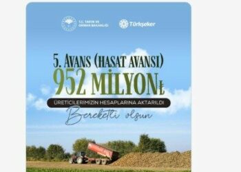 Pancar üreticilerine 952 milyon lira avans ödemesi