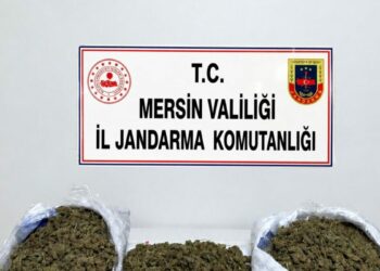 Mersin’de uyuşturucu operasyonları; 2 tutuklama