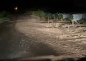 Elazığ’da sağanak sele neden oldu, üzüm bağları su altında kaldı