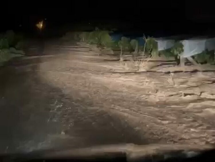 Elazığ’da sağanak sele neden oldu, üzüm bağları su altında kaldı