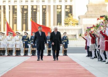 Şi Cinping, Almanya Cumhurbaşkanı Steinmeier ile görüştü