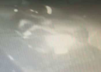 Bağcılar'da 20 yaşındaki genci öldüren şüpheli Çeşme'de yakalandı