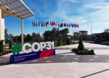 COP31 alanı Türkiye'nin en büyük açık hava sahnesi olacak