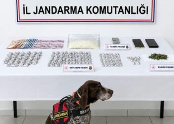 İzmir'de uyuşturucu operasyonuna 2 tutuklama