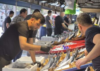 Balıkçılar binlerce palamutla döndü! 100 liralık fiyatı gören tezgahlara koştu