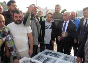 Şile’de palamut bolluğu; kasası 600 liradan satıldı