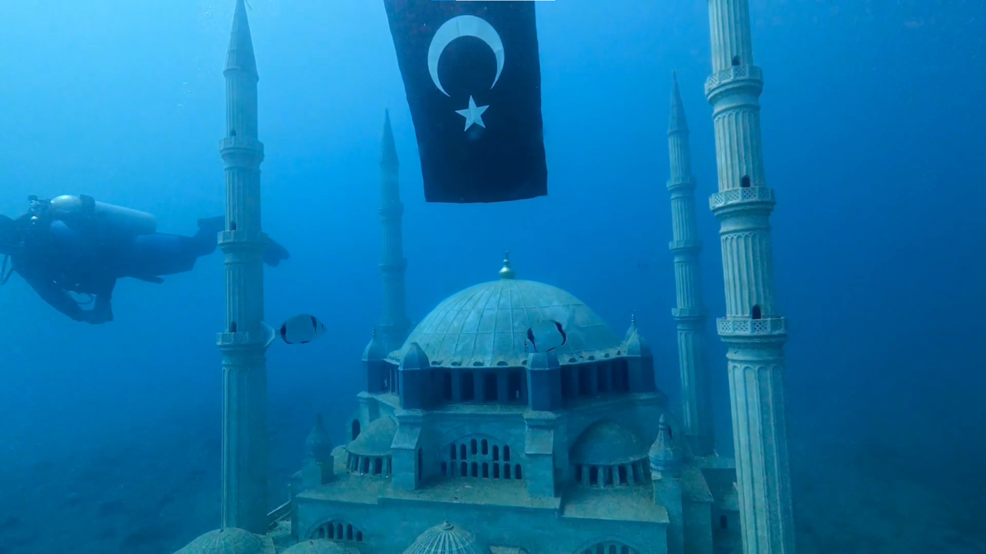 Saros Körfezi’nde batırılan yapay resifler, su altı canlılarının yaşam alanı oldu
