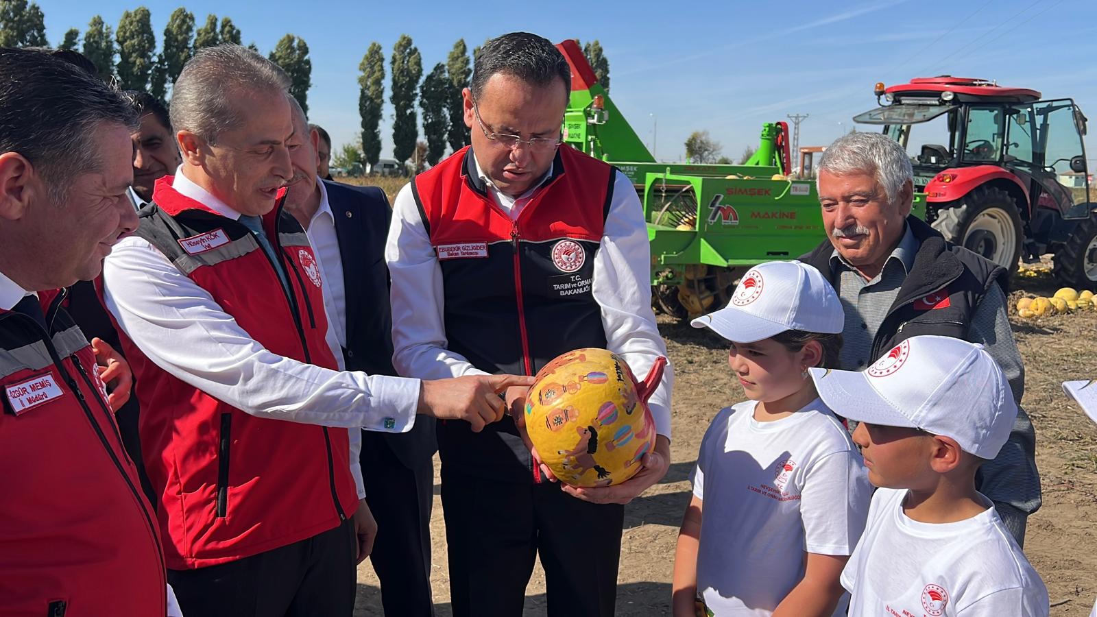 Nevşehir'de tescilli çerezlik çekirdek elde edilen kabakta hasat zamanı