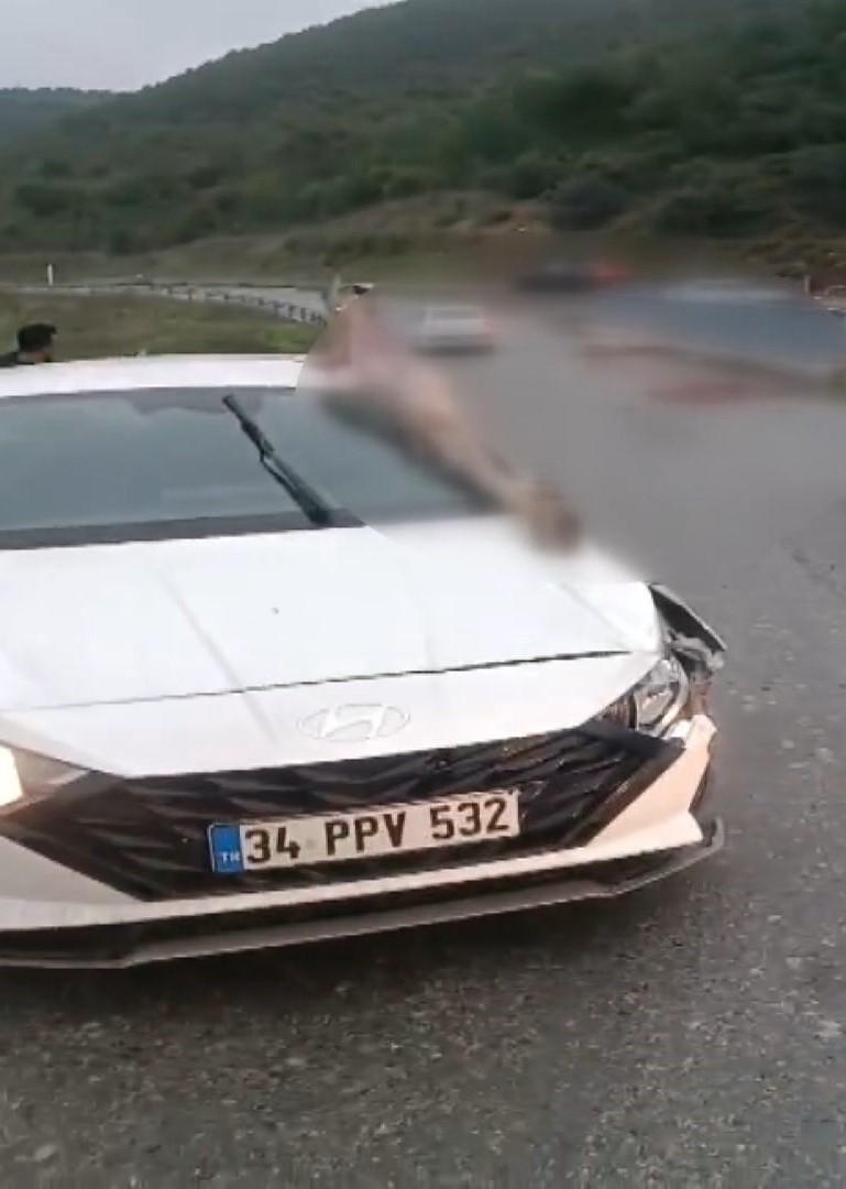 Arnavutköy’de otomobilin çarptığı at öldü: 3 kişi yaralandı