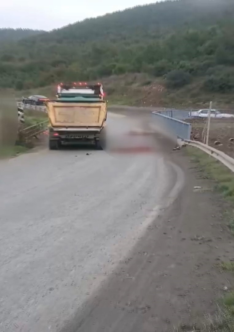 Arnavutköy’de otomobilin çarptığı at öldü: 3 kişi yaralandı