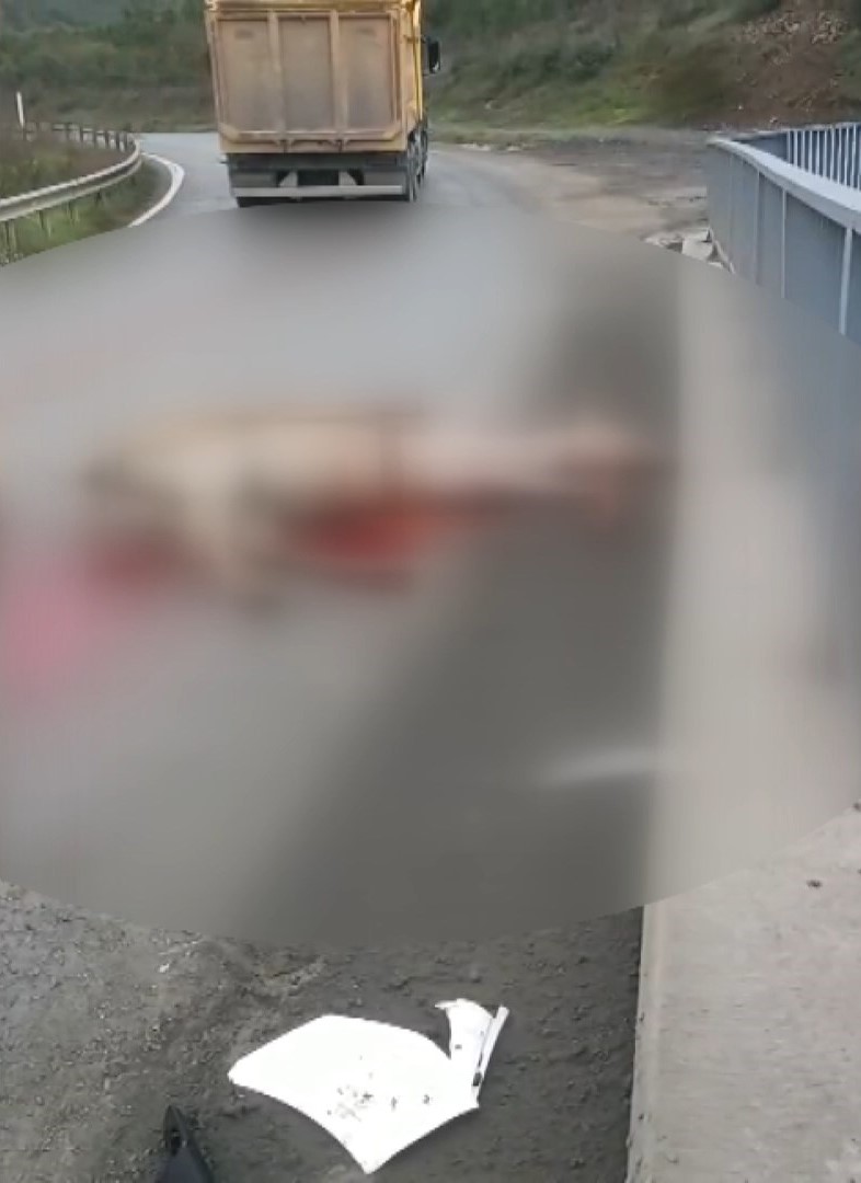Arnavutköy’de otomobilin çarptığı at öldü: 3 kişi yaralandı
