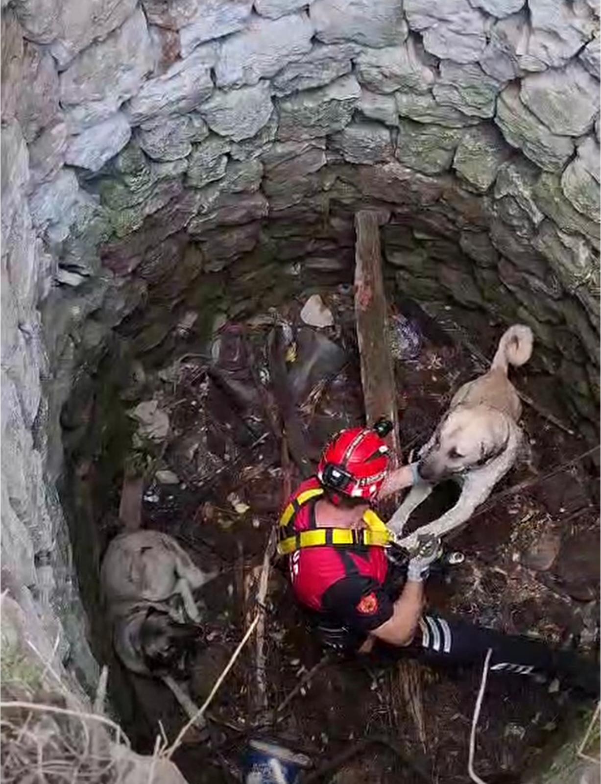 Nevşehir’de kuyuya düşen 2 köpek kurtarıldı