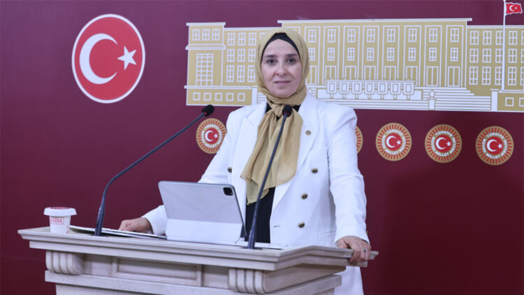 DEVA Partili Elif Esen’den 2027 bütçesine sert tepki: “Refah değil, veda bütçesi!”