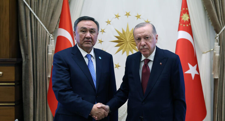 Cumhurbaşkanı Erdoğan, TDT Genel Sekreteri Ömüraliyev'i kabul etti