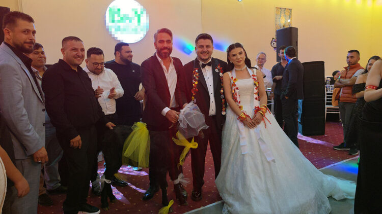 Adana'da düğünde yüzleri gülümseten olay: Gelin ve damada keçi hediye edildi