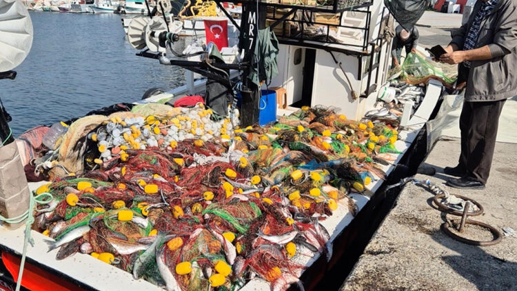 Marmara Denizi’nde kefal bereketi: Tek hamlede 1,5 ton balık tuttular