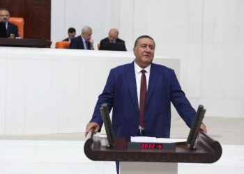 Zeytin fiyatlarında yüzde 80'e varan düşüş! CHP'li Gürer'den üretici için alarm