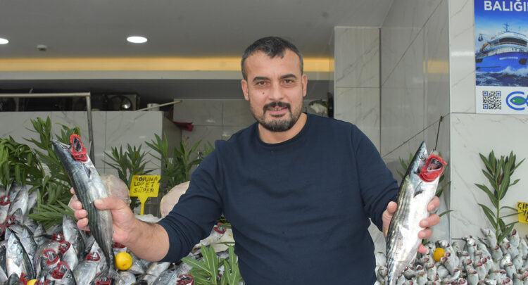 Samsunlu balıkçılardan palamut müjdesi: "Bolluk en az 1 ay daha sürecek"