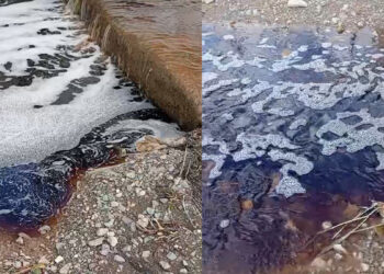 Yalova açıklarında deniz yüzeyi kırmızıya boyandı: Bölgede inceleme yapılacak