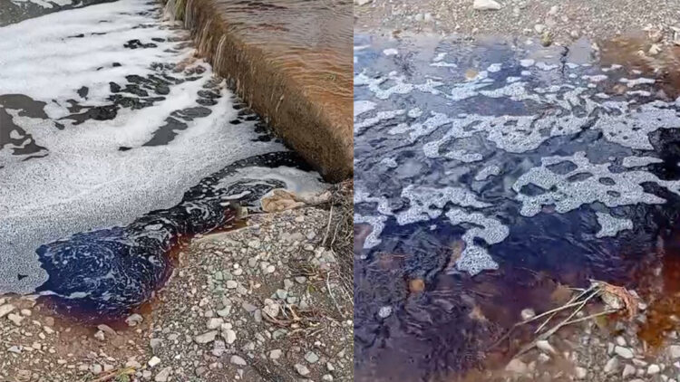 Yalova açıklarında deniz yüzeyi kırmızıya boyandı: Bölgede inceleme yapılacak